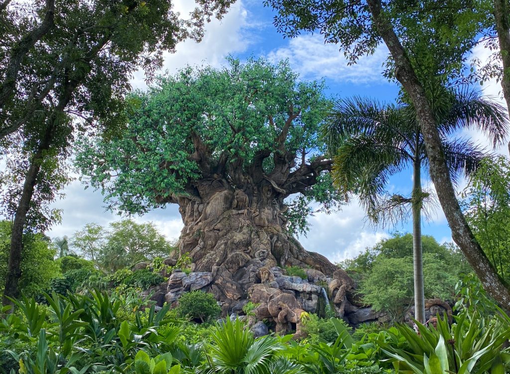 Orlando, FL USA -July 18, 2020: The Tree of Life at Animal Kingdom at  Walt Disney World  in Orlando, Florida.