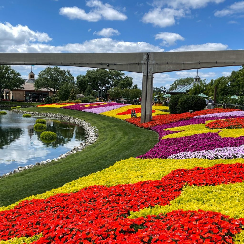 orlando, FL USA-  April 27, 2021: The Flower and Garden Festival flowers at EPCOT  in Walt Disney World in Orlando, Florida.