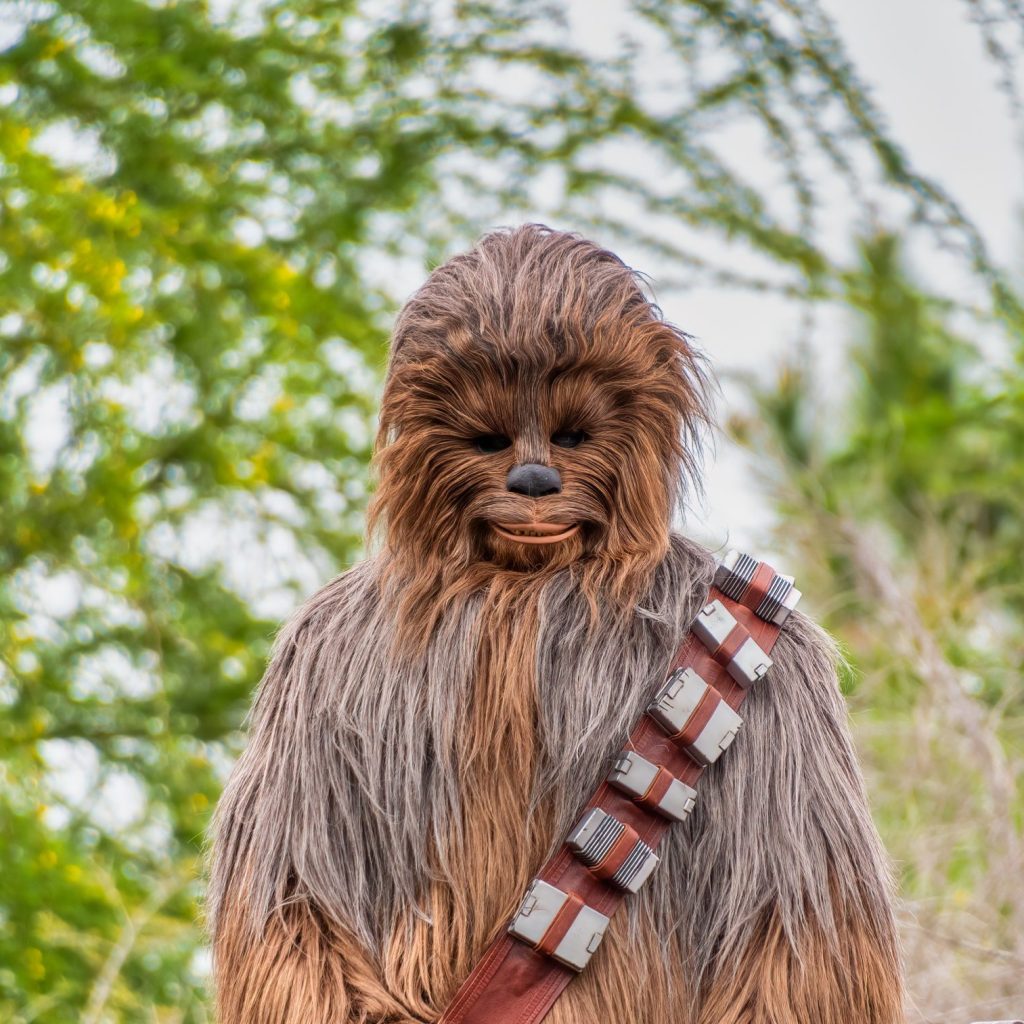 Chewbacca character at DIsney Hollywood Studios